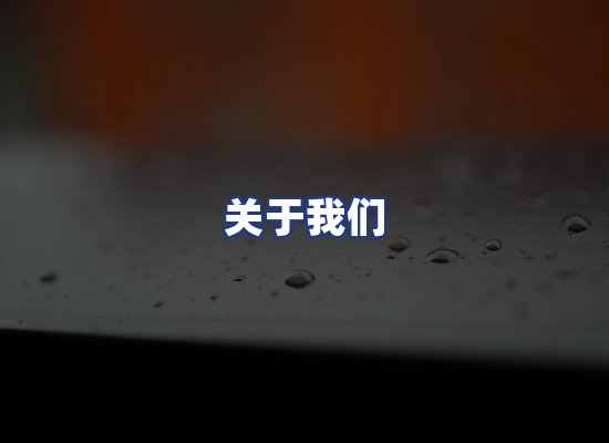 专业团队